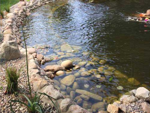 Wasser im Garten